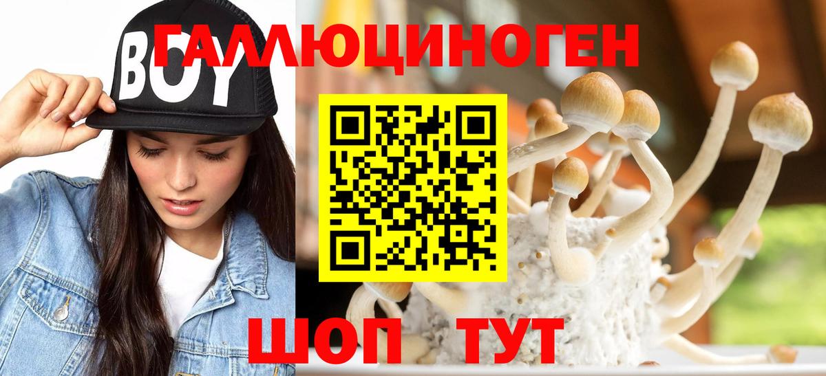как найти закладки  Галлюциногенные грибы Cubensis  Вход с VPN  Ревда 